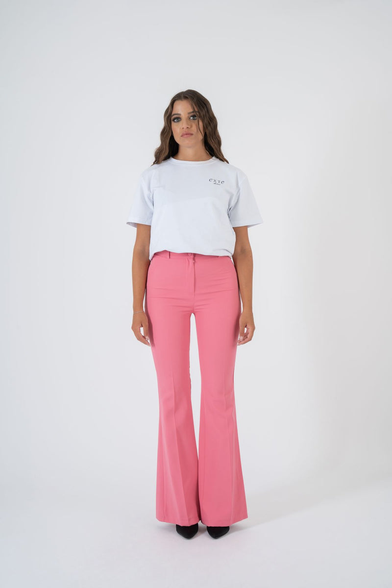 T217/A607 - Pantaloni - exte